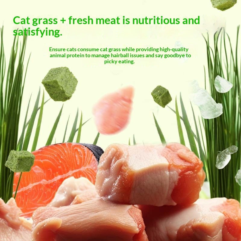 Freeze-Dried Cat Grass Snack – Natural & Healthy Cat Treat (10g)