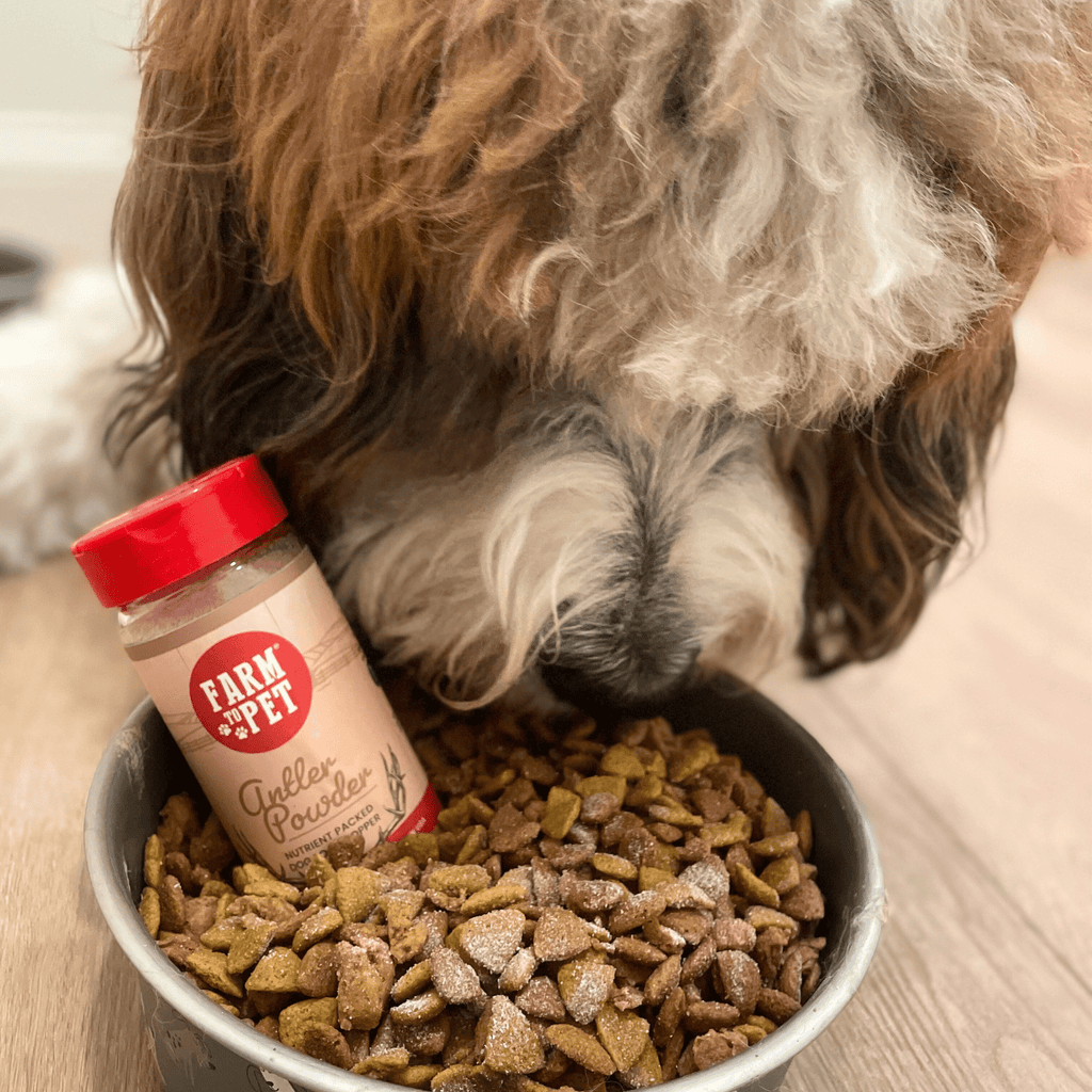 Suplemento Nutricional en Polvo de Asta de Ciervo Treat Topper para Perros y Gatos