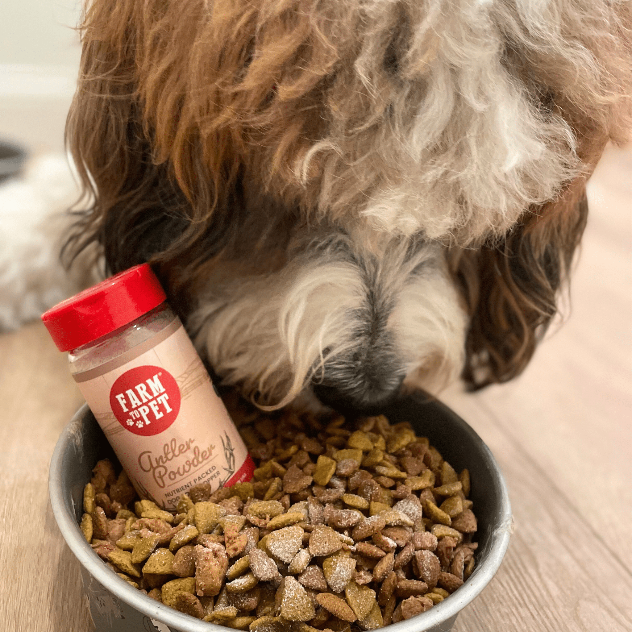 Suplemento Nutricional en Polvo de Asta de Ciervo Treat Topper para Perros y Gatos