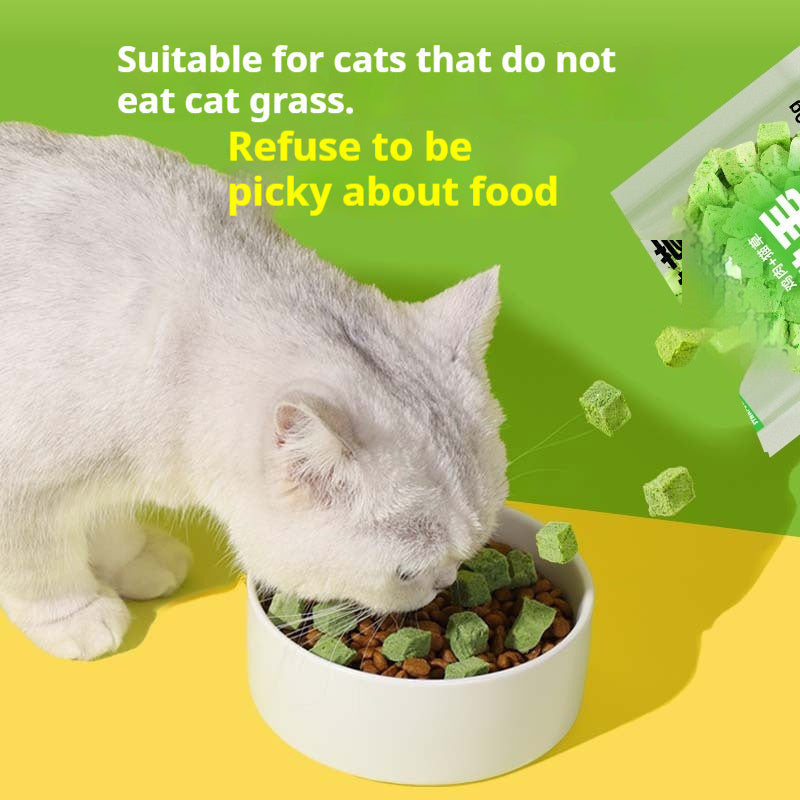 Freeze-Dried Cat Grass Snack – Natural & Healthy Cat Treat (10g)